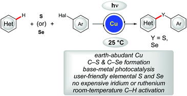 Graphical abstract: Photo-induced copper-catalyzed C–H chalcogenation of azoles at room temperature