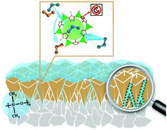 Graphical abstract: Enhanced C3H6/C3H8 separation performance on MOF membranes through blocking defects and hindering framework flexibility by silicone rubber coating