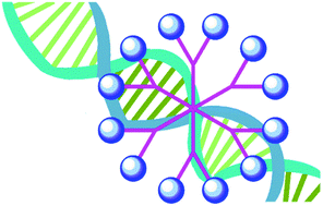Graphical abstract: Phosphorus dendrimers for nanomedicine