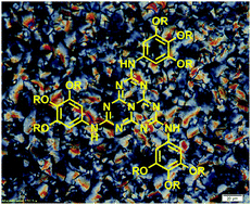 Graphical abstract: Retracted Article: Tri-s-triazine (s-heptazine), a novel electron-deficient core for soft self-assembled supramolecular structures