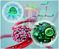 Graphical abstract: Supramolecular block copolymers for gene delivery: enhancement of transfection efficiency by charge regulation