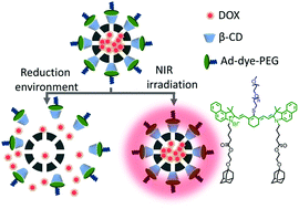 Graphical abstract: NIR-absorbing dye functionalized hollow mesoporous silica nanoparticles for combined photothermal–chemotherapy