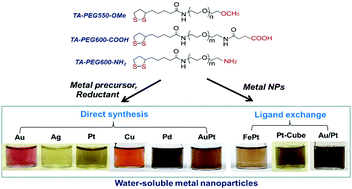Graphical abstract: Utility of PEGylated dithiolane ligands for direct synthesis of water-soluble Au, Ag, Pt, Pd, Cu and AuPt nanoparticles