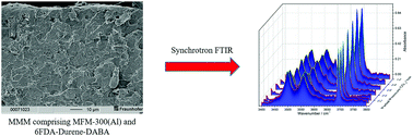 Graphical abstract: Locating the binding domains in a highly selective mixed matrix membrane via synchrotron IR microspectroscopy