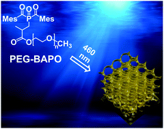 Graphical abstract: A highly efficient waterborne photoinitiator for visible-light-induced three-dimensional printing of hydrogels