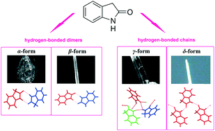 Graphical abstract: Polymorphs of oxindole as the core structures in bioactive compounds