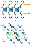 Graphical abstract: Ionic co-crystals of enantiopure and racemic histidine with calcium halides