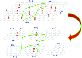 Graphical abstract: Edges of graphene and carbon nanotubes with high catalytic performance for the oxygen reduction reaction