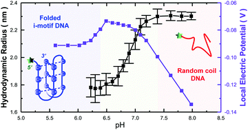 Graphical abstract: Charge evolution during the unfolding of a single DNA i-motif