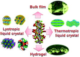 Graphical abstract: DNA–surfactant complexes: self-assembly properties and applications