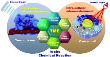 Graphical abstract: Nanoparticle-triggered in situ catalytic chemical reactions for tumour-specific therapy