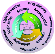Graphical abstract: Nucleobases, nucleosides, and nucleotides: versatile biomolecules for generating functional nanomaterials