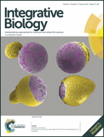 Graphical abstract: Front cover