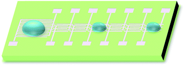 Graphical abstract: Dielectrowetting manipulation for digital microfluidics: creating, transporting, splitting, and merging of droplets