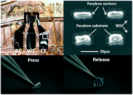 Graphical abstract: Large-scale, all polycrystalline diamond structures transferred onto flexible Parylene-C films for neurotransmitter sensing