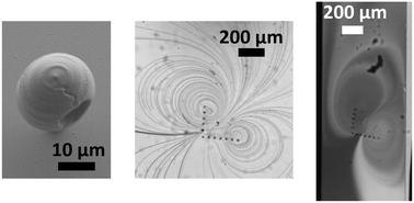 Graphical abstract: Bubble-based acoustic micropropulsors: active surfaces and mixers
