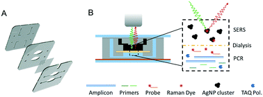 Graphical abstract: Real-time multiplexed PCR using surface enhanced Raman spectroscopy in a thermoplastic chip
