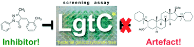 Graphical abstract: Identification of non-substrate-like glycosyltransferase inhibitors from library screening: pitfalls & hits
