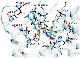 Graphical abstract: Discovery of 2-aminoimidazole and 2-amino imidazolyl-thiazoles as non-xanthine human adenosine A3 receptor antagonists: SAR and molecular modeling studies