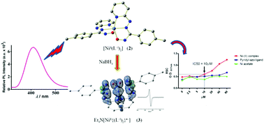 Graphical abstract: Luminescent closed shell nickel(ii) pyridyl-azo-oximates and the open shell anion radical congener: molecular and electronic structure, ligand redox behaviour and biological activity