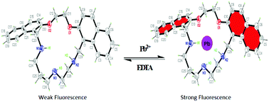 Graphical abstract: A new macrocyclic ligand as a turn-on fluorescent chemosensor for the recognition of Pb2+ ions
