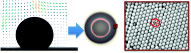 Graphical abstract: Dissolution dynamics of a suspension droplet in a binary solution for controlled nanoparticle assembly