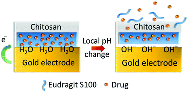 Graphical abstract: On-demand electrically controlled drug release from resorbable nanocomposite films