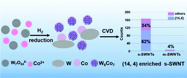Graphical abstract: Selective growth of chirality-enriched semiconducting carbon nanotubes by using bimetallic catalysts from salt precursors