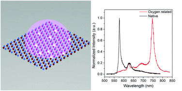 Graphical abstract: Single photon emission from plasma treated 2D hexagonal boron nitride