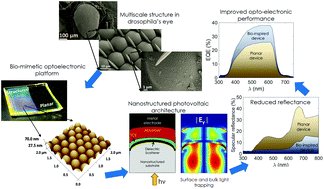 Graphical abstract: Moldable biomimetic nanoscale optoelectronic platforms for simultaneous enhancement in optical absorption and charge transport
