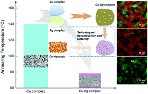 Graphical abstract: Self-catalyzed copper–silver complex inks for low-cost fabrication of highly oxidation-resistant and conductive copper–silver hybrid tracks at a low temperature below 100 °C