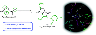Graphical abstract: On the discovery of new potent human farnesyltransferase inhibitors: emerging pyroglutamic derivatives