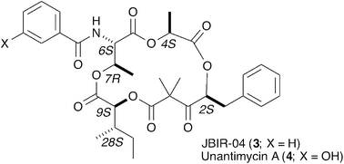 Graphical abstract: Total syntheses and configuration assignments of JBIR-04 and unantimycin A