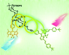Graphical abstract: Synthesis and photophysical properties of a bichromophoric system hosting a disaccharide spacer