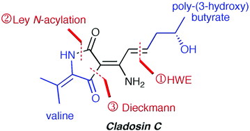 Graphical abstract: Synthesis of the fungus metabolite cladosin C