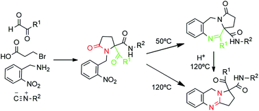 Graphical abstract: Novel pyrrolobenzodiazepine and pyrroloquinazoline scaffolds synthesized by a simple and highly selective Ugi/cyclization sequence