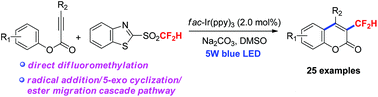 Graphical abstract: Visible-light-mediated direct difluoromethylation of alkynoates: synthesis of 3-difluoromethylated coumarins