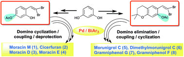 Graphical abstract: Functional group manoeuvring for tuning stability and reactivity: synthesis of cicerfuran, moracins (D, E, M) and chromene-fused benzofuran-based natural products