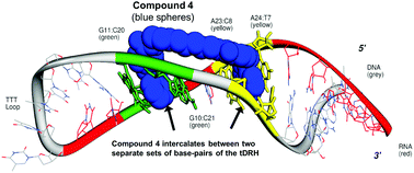 Graphical abstract: Methylene-linked bis-phenylbenzimidazoles – a new scaffold to target telomeric DNA/RNA hybrid duplex