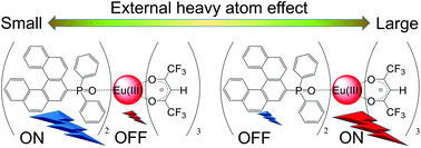 Graphical abstract: Solvent-dependent dual-luminescence properties of a europium complex with helical π-conjugated ligands