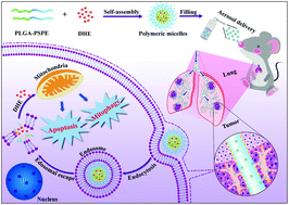 Graphical abstract: Aerosol delivery of biocompatible dihydroergotamine-loaded PLGA-PSPE polymeric micelles for efficient lung cancer therapy