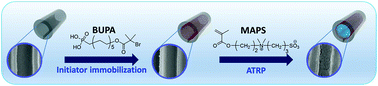 Graphical abstract: Zwitterionic polymer brush grafting on anodic aluminum oxide membranes by surface-initiated atom transfer radical polymerization