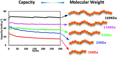 Graphical abstract: The impact of the molecular weight on the electrochemical properties of poly(TEMPO methacrylate)