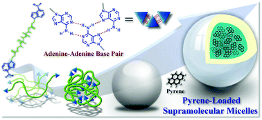 Graphical abstract: Supramolecular fluorescent nanoparticles functionalized with controllable physical properties and temperature-responsive release behavior