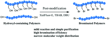 Graphical abstract: Facile and efficient bromination of hydroxyl-containing polymers to synthesize well-defined brominated polymers