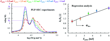 Graphical abstract: Estimating the photodissociation quantum yield from PLP-SEC peak heights