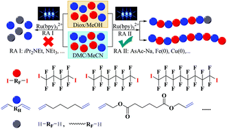 Graphical abstract: Insight into the polymerization mechanism of photoinduced step transfer-addition & radical-termination (START) polymerizations