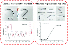 Graphical abstract: Body temperature-responsive two-way and moisture-responsive one-way shape memory behaviors of poly(ethylene glycol)-based networks