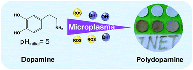 Graphical abstract: Microplasma-assisted rapid, chemical oxidant-free and controllable polymerization of dopamine for surface modification