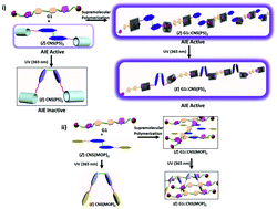 Graphical abstract: Configuration-independent AIE-active supramolecular polymers of cyanostilbene through the photo-stable host–guest interaction of pillar[5]arene
